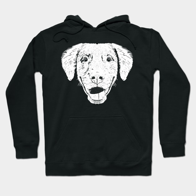 Duck Toller Pup Hoodie by childofthecorn